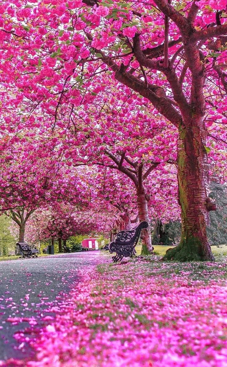 SignalDockUrban workshop space where corporate flower arrangements are designed and prepared for business delivery